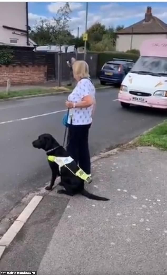 带着导盲犬的盲人这一动作，是向路人救助