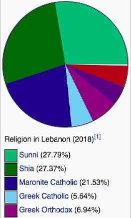 黎巴嫩爆炸，为什么法国总统第一个到场？黎巴嫩人太苦了