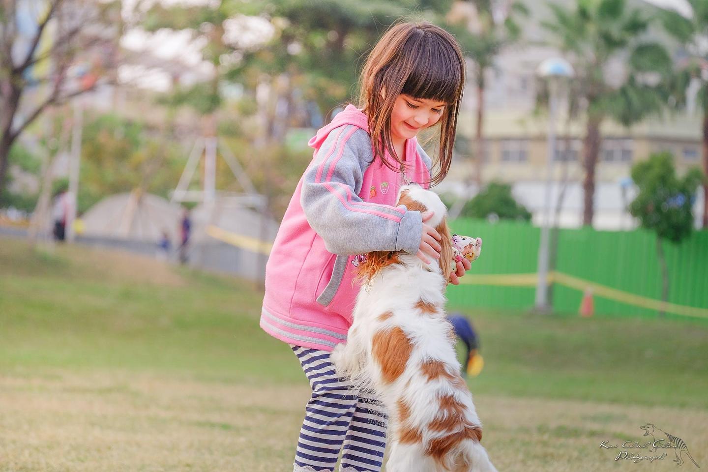 从小就受教育要爱护动物，怎么长大了就高喊“禁止养狗”了？