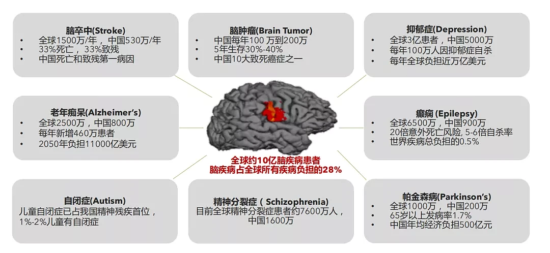 MIT和哈佛顶尖中国脑科学家回国创业，创建脑疾病平台