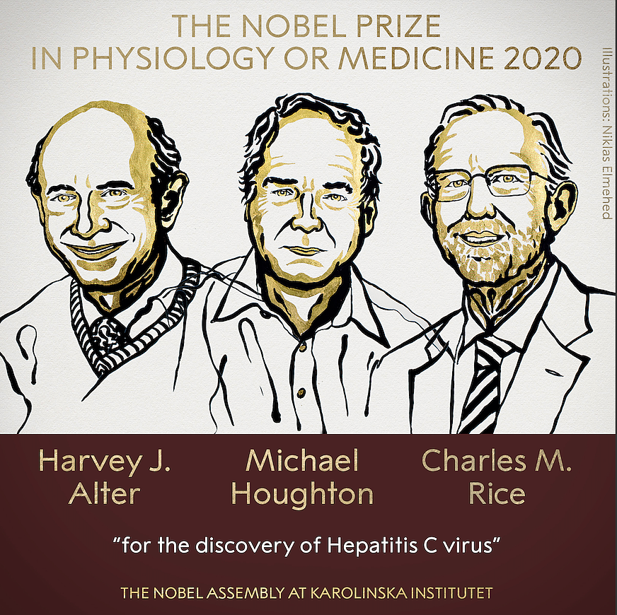 刚刚，今年诺奖首发颁给丙肝病毒捕手！英美三位科学家获奖