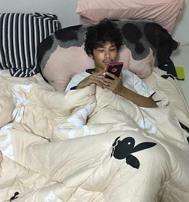 泰国男子养了一只宠物猪，每天都抱着它睡觉，没想到一年后变这样