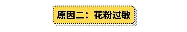 人为什么会过敏？原来，「过敏体质」是这么回事