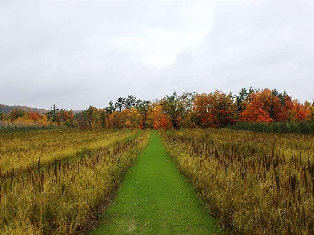 一起云旅游：这10张壮美的照片，就是加拿大的秋天