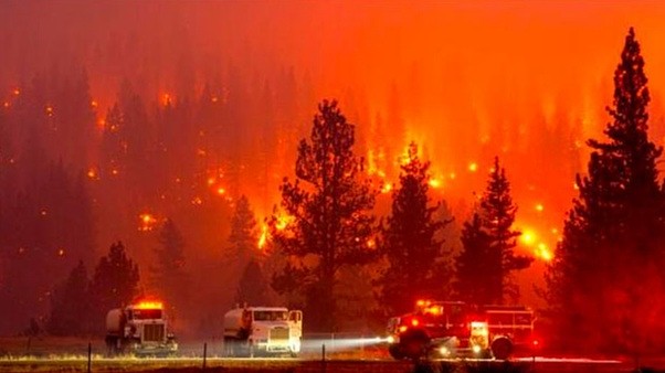 美国加州山火肆虐，消防员人力紧张，政府竟调集囚犯来灭火