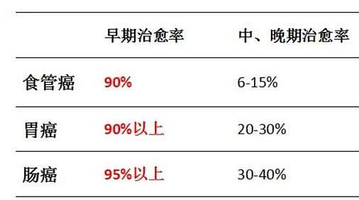 癌症的元凶找到了！提醒：医生从不吃的4种食物，为何你却还在吃