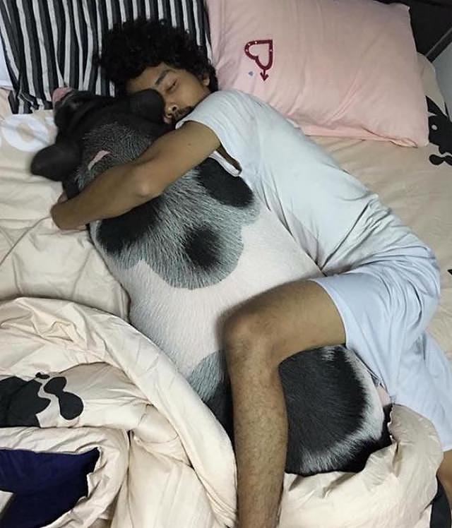 泰国男子养了一只宠物猪，每天都抱着它睡觉，没想到一年后变这样