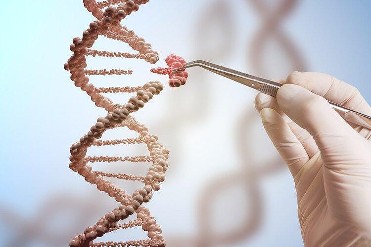 76%的人多次出轨：刻在DNA里的“出轨基因”，或是进化结果