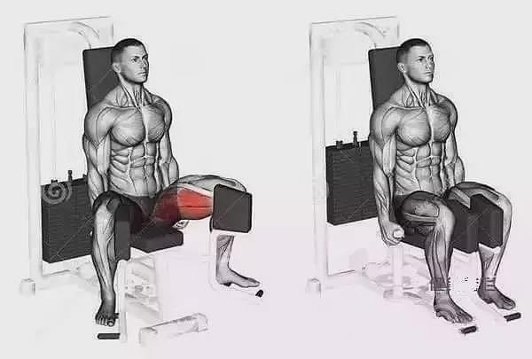 11种最强效的虐腿动作，增强男人下半身能力妥妥的