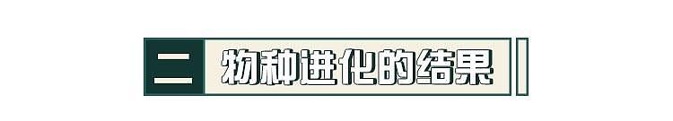 “出轨”真的只有0次和无数次？科学研究给出了答案