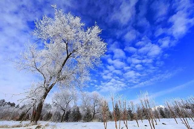 冬季云海，飞瀑成冰：遇见不一样的冰雪童话世界