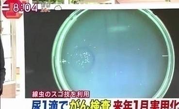 日本“1滴血测出13种癌症”，准确度99%，今年正式启动