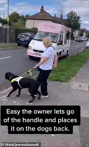 带着导盲犬的盲人这一动作，是向路人救助