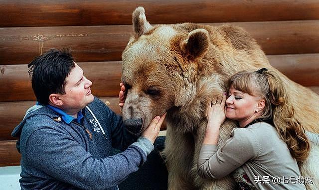 小狗熊3个月被俄罗斯夫妇领养，朝夕相处23年，如今的照片太意外