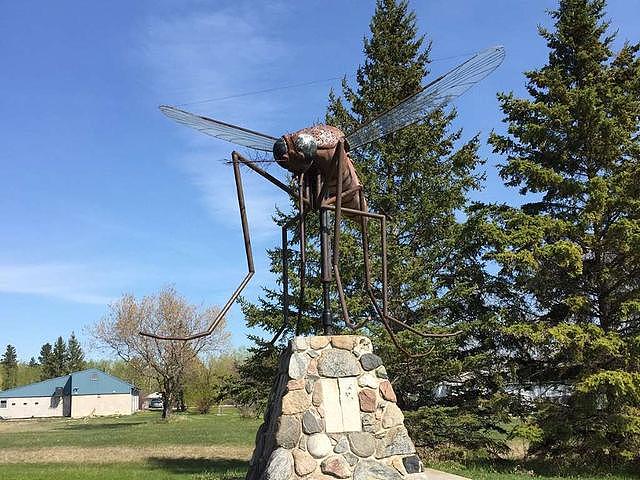 云旅游：盘点加拿大蚊子最猖獗的9个地方，注意做好防护措施