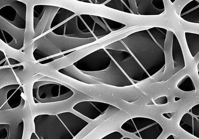 中国学者革新3D生物打印，支架孔径达到细胞水平