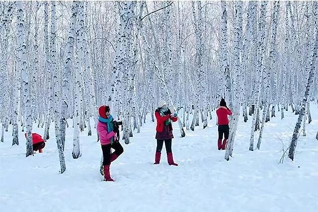 北极漠河雪国列车：看极光驯鹿，这里藏着冬日所有的浪漫