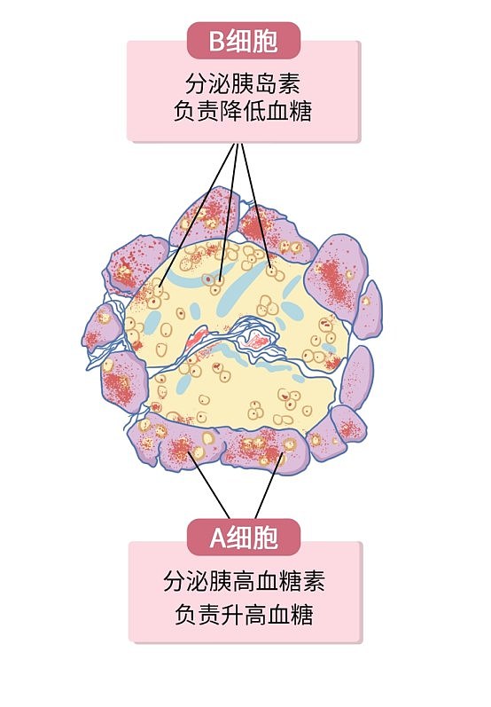 胰腺癌：从确诊到死亡不足5个月！这些症状，都是它的敲门声