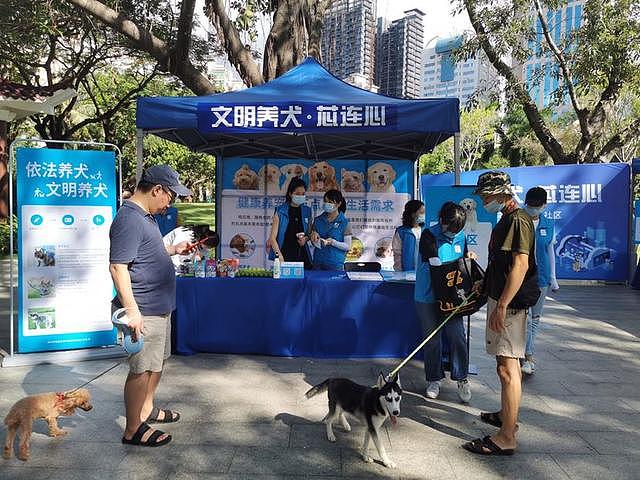 深圳10月起未植入芯片将视为无证养犬，目前植入芯片免费