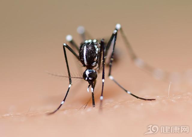 蚊子吸了艾滋病病人的血，又咬了一个正常人，会被传染吗？