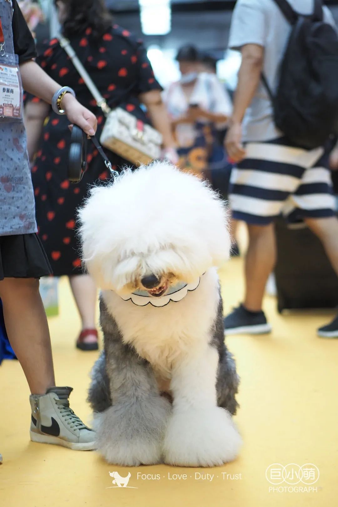 多图预警！2020CPF广州宠博会首日，超多主人带狗出来浪