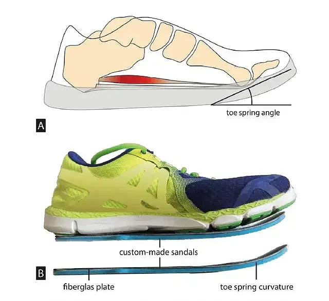 来自哈佛大学的一项研究发现，穿着这类鞋或造成脚部疾病
