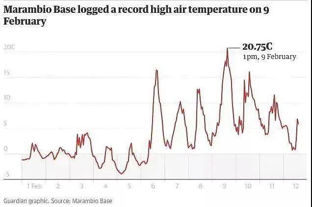 2020年中总结：山火、蝗灾、病毒、洪涝之外，我们还剩下什么？