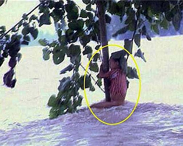 1998年特大洪水中，一7岁女孩抱树9小时后获救，如今她现状如何？