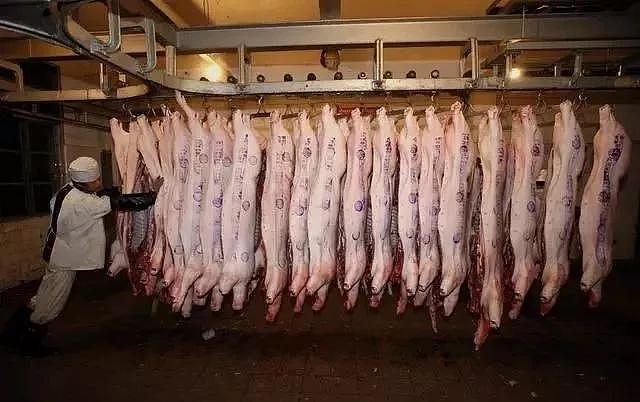 猪肉到底能放冰箱多久？提醒：超过这个时间，小心成为“僵尸肉”