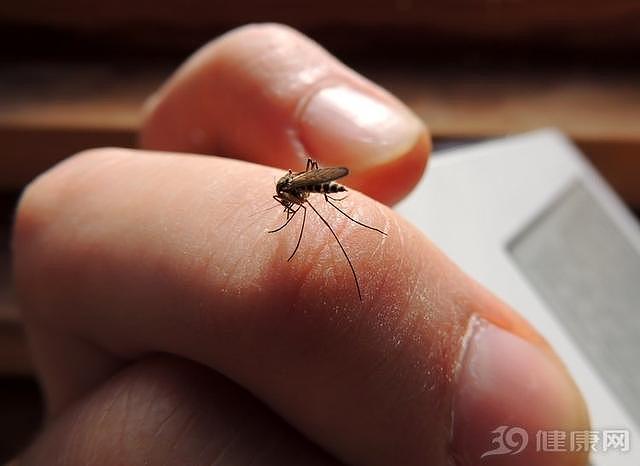 上海已报告9例登革热病例，专家紧急提醒：防蚊是主要防范措施
