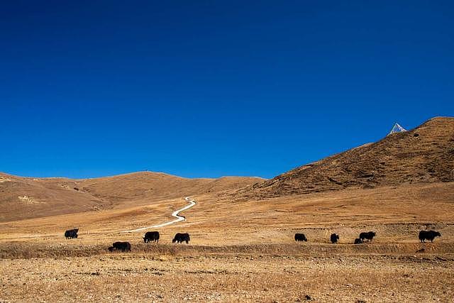 旅行看世界：盘点世界上10个景色壮美的高原，中国两处上榜