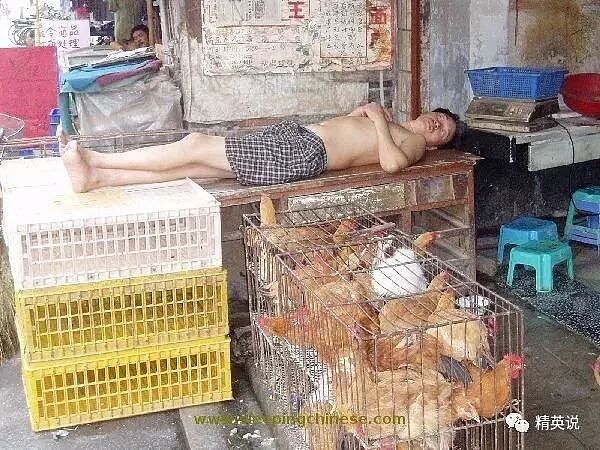 张雪峰猝然离世：用睡眠换明天的背后，为什么「猝死」的年轻人越来越多？ - 44