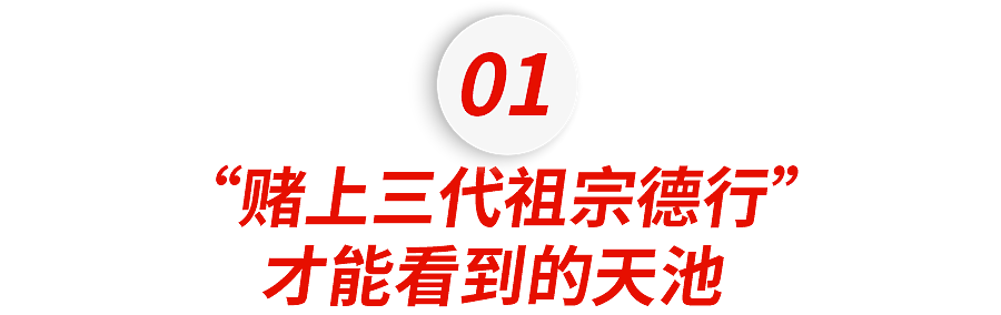 韩国中产，集体涌进东北尽孝 - 4