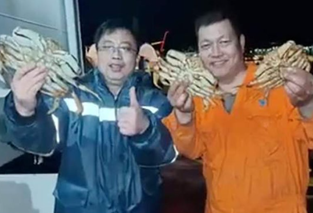 全网痛骂！华人温哥华疯狂捕捞400多斤螃蟹，现蒸配啤酒直喊爽！视频疯传（组图） - 2