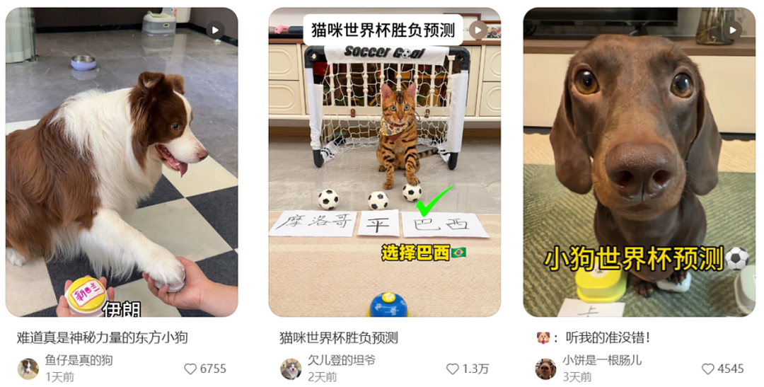 第一批在小红书追更世界杯的人,已经乐一星期了(组图) - 14