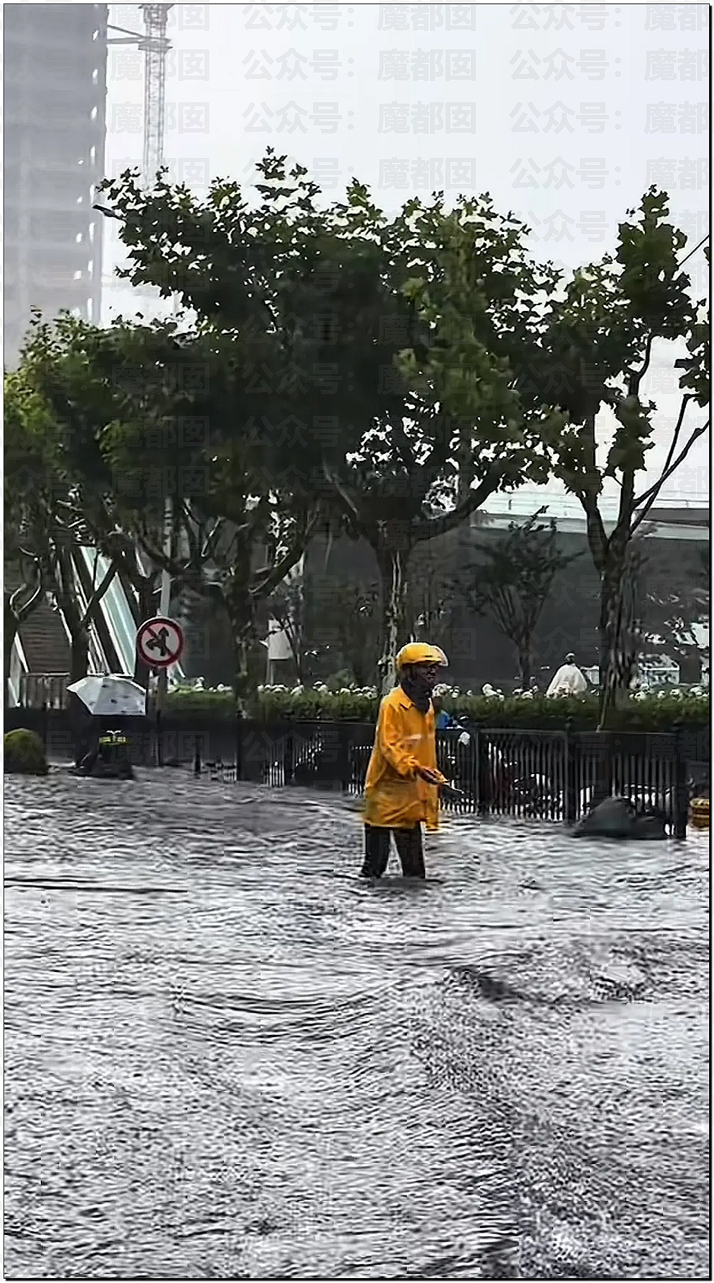 上海变海上?魔都多地严重内涝,街头积水及腰,盒马被淹(视频/组图) - 7