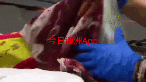 中国大妈入境澳洲，开箱翻出沾满油“诡异”塑料袋！大妈回答完后，海关妹子当场崩溃…… - 18