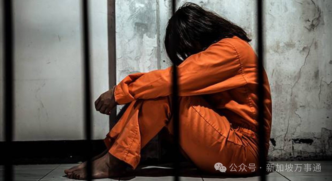 被中国女员工侵吞30万+诬告欠薪,新加坡老板携3000页证据跨国维权!最终...(组图) - 11