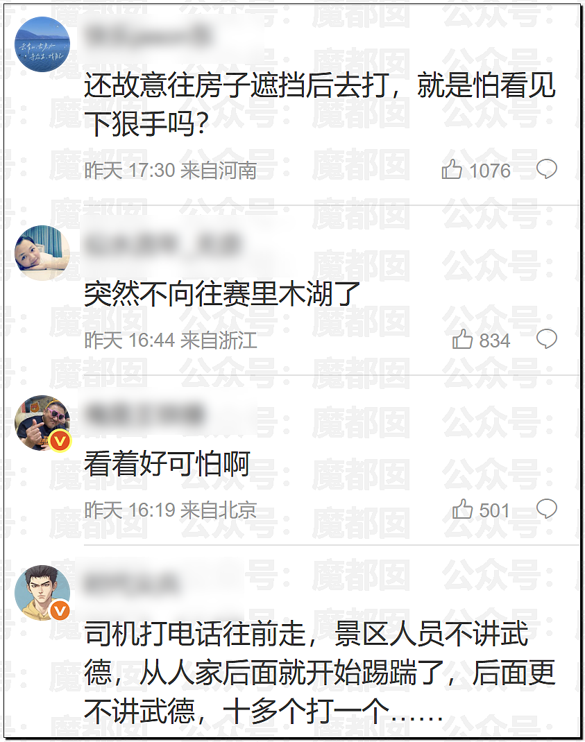 新疆赛里木湖景区曝围殴事件!7名工作人员殴打司机,视频曝光引热议(组图) - 17