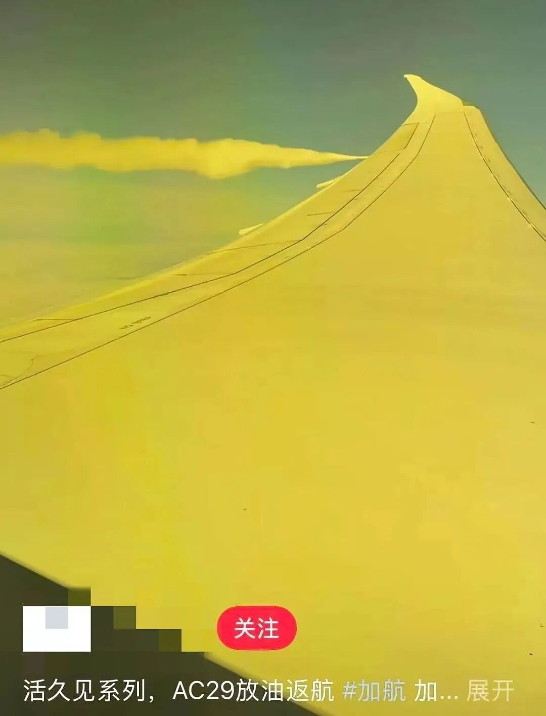 惊魂!回国航班突然掉头,万米高空排油紧急迫降!华人大哭机长崩溃...(组图) - 4