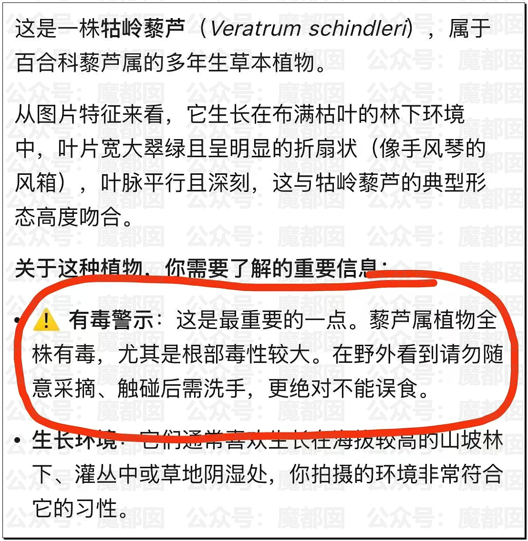 炸裂！表妹哺乳期出G已婚表哥，8年妻子竟默许，完整版监控曝光！（组图） - 48