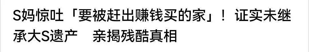 最新!大S手机备忘录曝光遗产分配细节!难怪徐家坚决不认!其海外资产唯独S妈知情,汪小菲也在追查!具俊晔被曝与大S子女争遗产! - 19