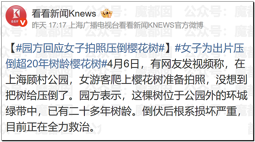 华语顶流天王周杰伦被扒疑似多处抄袭?!(组图) - 35