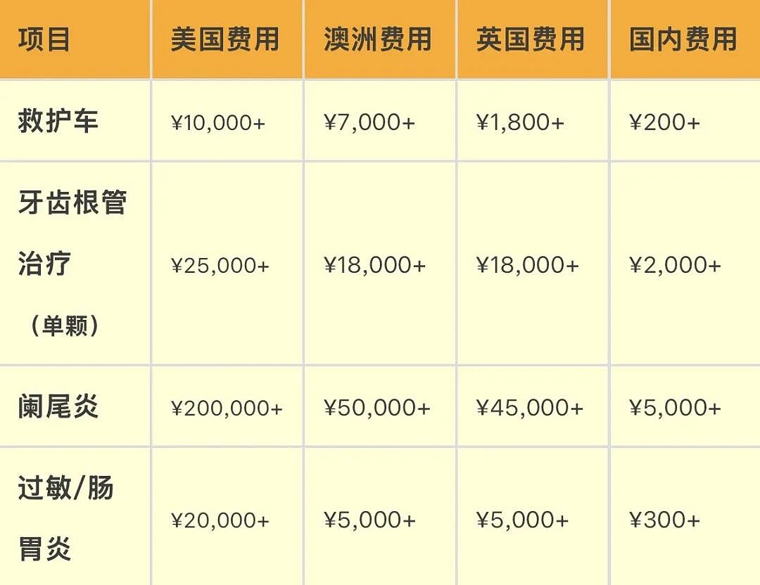 留学生生病开始求助AI，竟然省下一辆特斯拉（组图） - 12