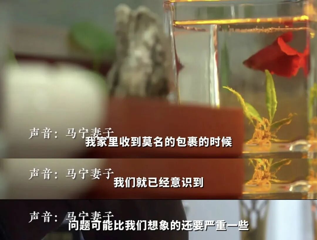 世界杯“最大网红”:一场比赛,把上千万人看嗨了(组图) - 9