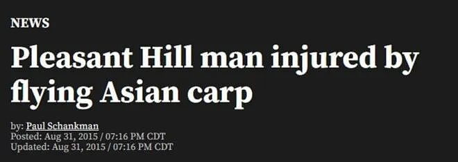 老美鲤鱼数量控不住了！渔民需要戴头盔，不然会被漫天飞舞的大鱼爆头（组图） - 6