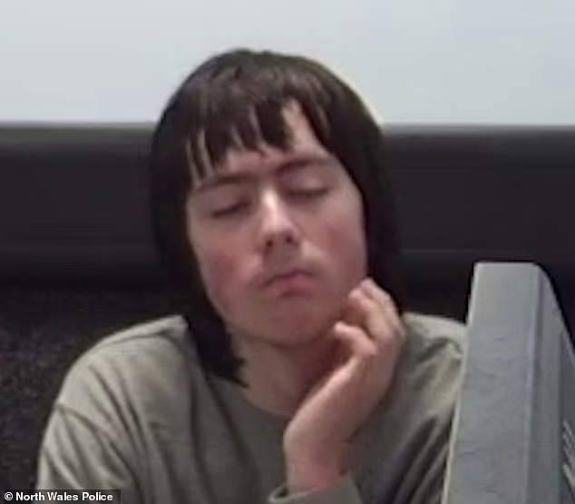 儿子锤杀亲生母亲，折磨4小时全程录像！曾问AI如何杀人（组图） - 2