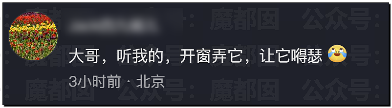 突发反转!甜美天才少女蒋方舟被撤销学位!B子立牌坊终于崩塌! - 37