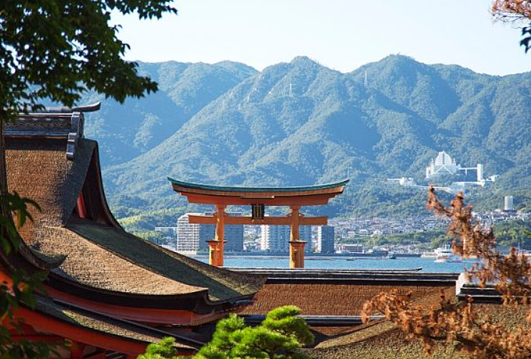 日本疯狂引进印度游客,如今翻车了?拉满飞机厕所、爱占商家便宜,真相更扎心(组图) - 9