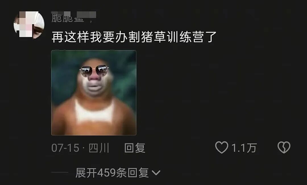 人傻钱多的“城巴佬”，快把农村人整懵了 - 3